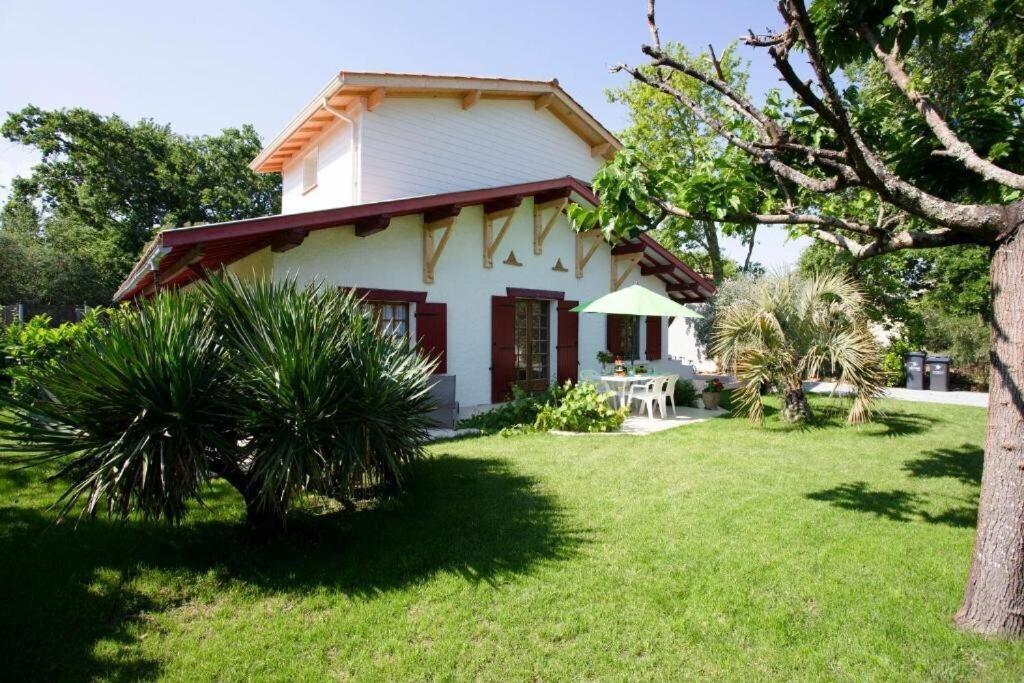 Villa Robert Shumann, A 700 M De La Plage أنديرنو لي بان المظهر الخارجي الصورة