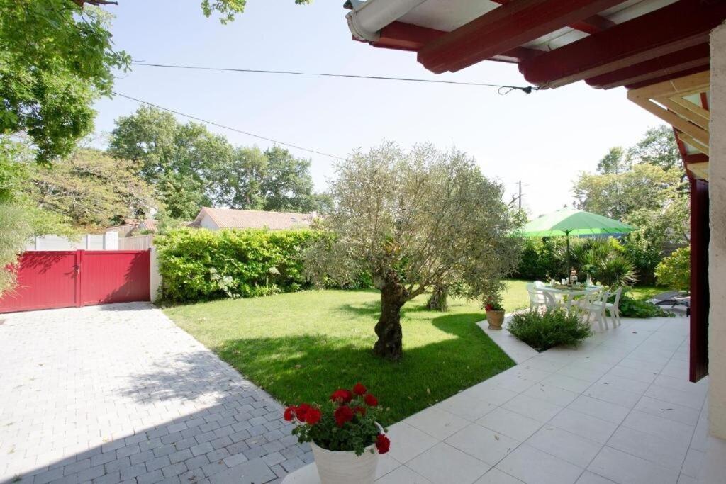 Villa Robert Shumann, A 700 M De La Plage أنديرنو لي بان المظهر الخارجي الصورة